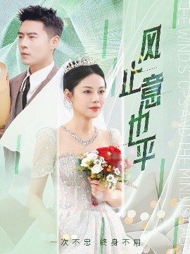 风止意也平高清海报